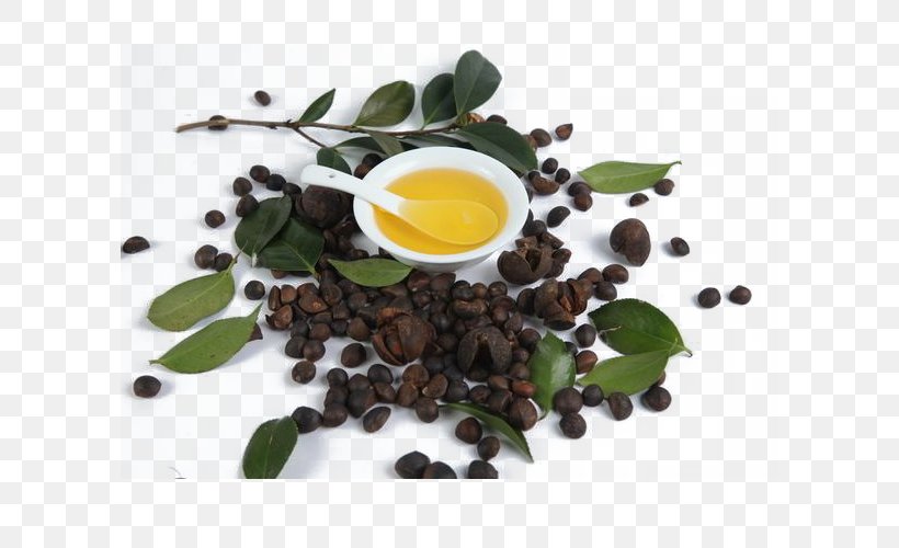Tea Seed Oil Corn Oil Peanut Oil, PNG, 600x500px, Tea, Assam Tea, Camellia Sinensis, Canola, Chaga Mushroom Download Free