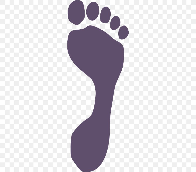 Footprint, PNG, 360x720px, Footprint, Body, Chin, Foot, Purple Download Free