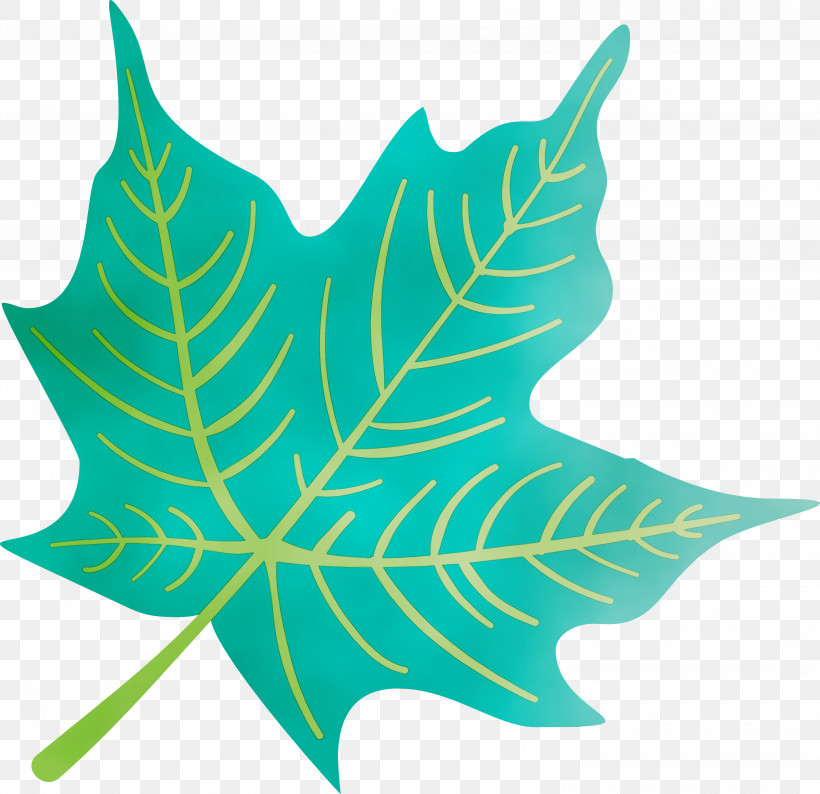 Leaf Symmetry M-tree Tree Science, PNG, 3000x2905px, Autumn Leaf, Biology, Colorful Leaf, Colorful Leaves, Colourful Foliage Download Free