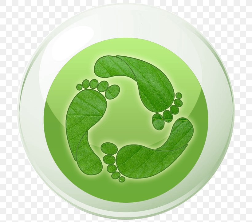 Symbol Leaf, PNG, 725x725px, Symbol, Green, Leaf, Organism Download Free