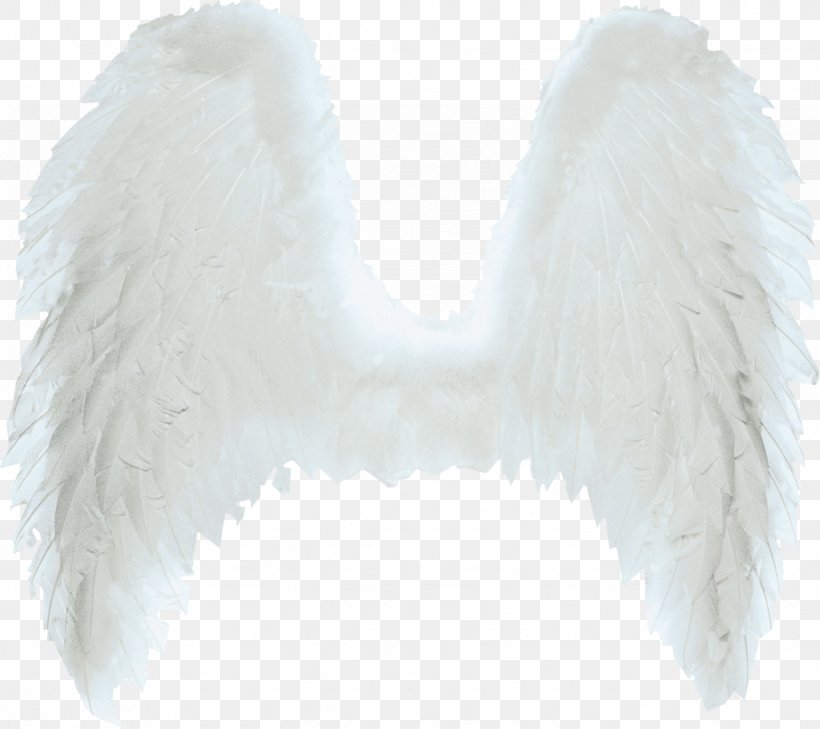 Wing Ala Clip Art, PNG, 1024x911px, Wing, Ala, Angel, Beak, Black And White Download Free