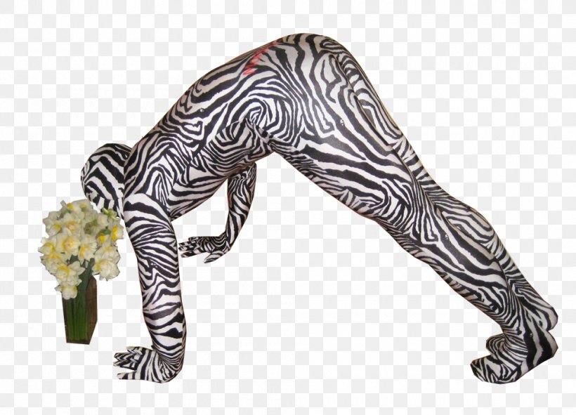 Zebra Morphsuits Costume Leopard Animal Print, PNG, 1000x721px, Zebra, Animal, Animal Print, Brindle, Costume Download Free
