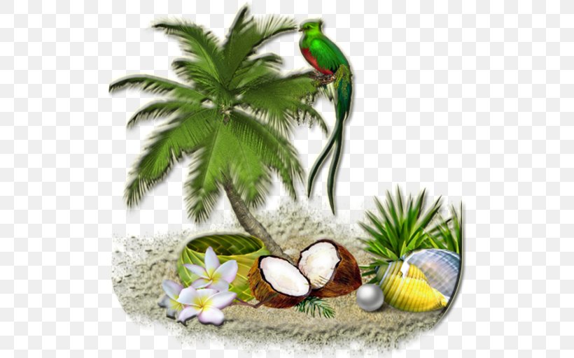Arecaceae Coconut Tree Clip Art, PNG, 512x512px, Arecaceae, Arecales, Babassu, Coconut, Color Download Free