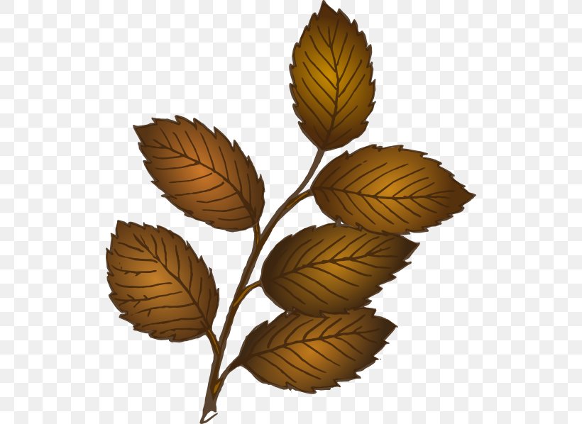 Branch Leaf Clip Art, PNG, 522x598px, Branch, Autumn Leaf Color, Cartoon, Leaf, Oak Download Free