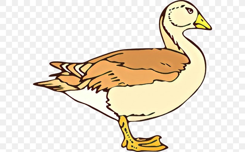 Duck Goose Clip Art Fowl Fauna, PNG, 600x509px, Duck, Action Toy Figures, American Black Duck, Animal, Beak Download Free