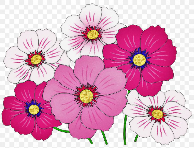 Flower Pink Plant Petal Flowering Plant, PNG, 946x720px, Flower, Cosmos, Daisy Family, Flowering Plant, Magenta Download Free