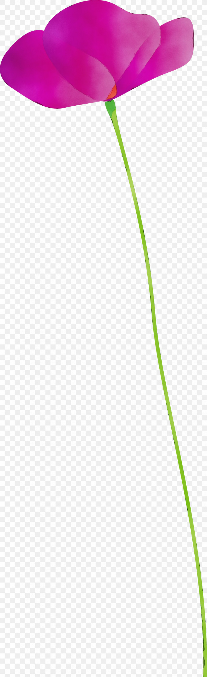 Green Leaf Grass Family Line Plant, PNG, 920x3000px, Poppy Flower, Grass, Grass Family, Green, Leaf Download Free