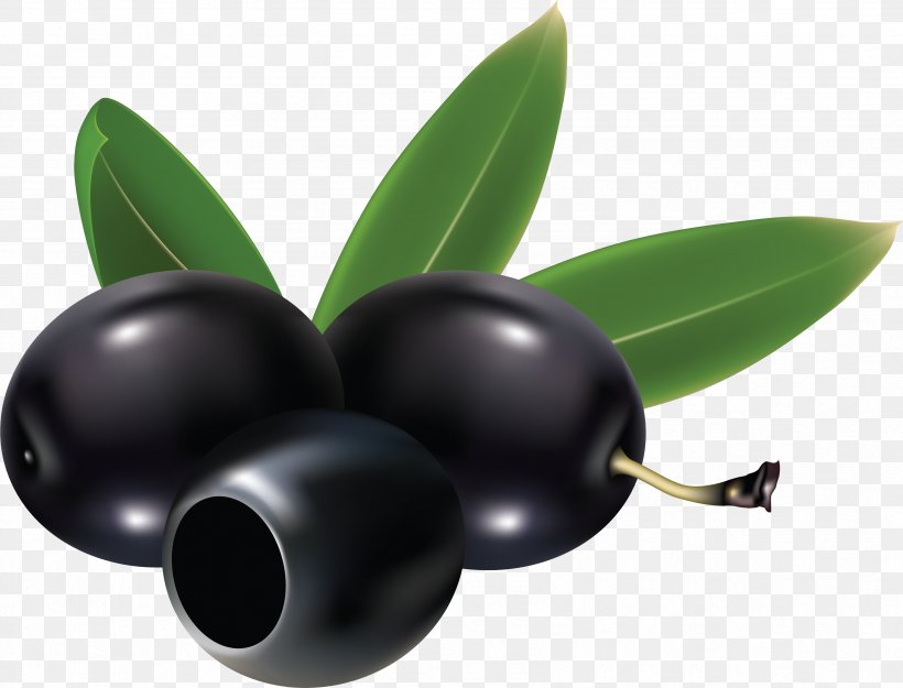 Olive Clip Art, PNG, 3386x2581px, Olive, Fruit, Image File Formats, Olive Branch, Olive Wreath Download Free