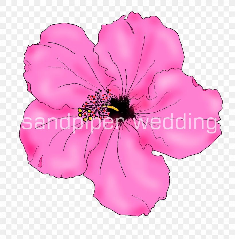 Drawing Flower Clip Art, PNG, 1192x1212px, Drawing, Art, Flower, Flowering Plant, Herbaceous Plant Download Free
