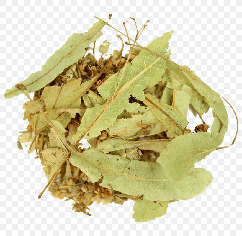 Herbal Tea Herbal Tea Tilia Tomentosa Lemongrass, PNG, 800x800px, Herb, Cardamom, Flower, Flowering Tea, Geranium Robertianum Download Free