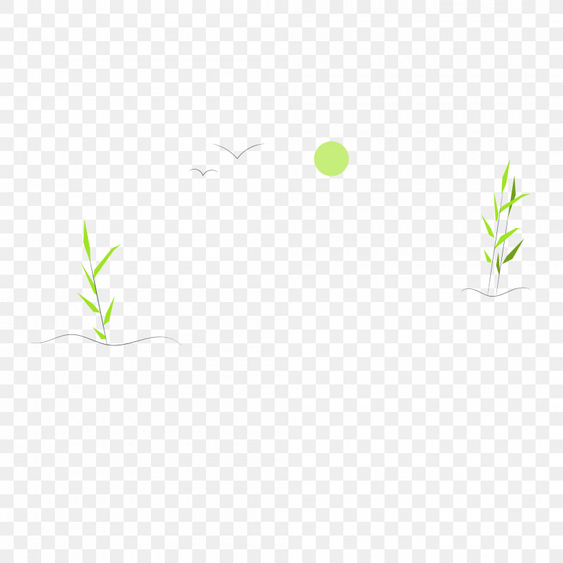 Leaf Plant Stem Grasses Logo Tree, PNG, 2000x2000px, Leaf, Flower, Grasses, Green, Line Download Free