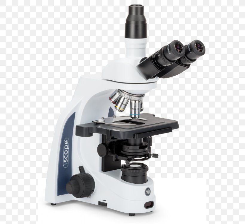 Optical Microscope Digital Microscope Petrographic Microscope Science, PNG, 563x750px, Microscope, Binoculars, Biology, Brightfield Microscopy, Darkfield Microscopy Download Free