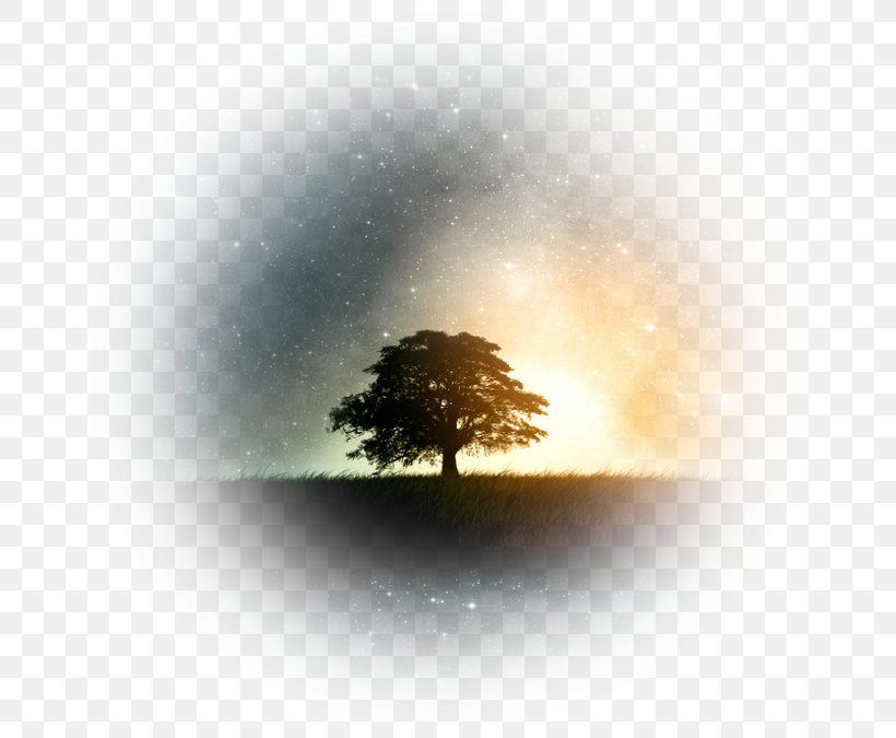 Fantasy Tree Illustration, PNG, 675x675px, Space Galaxy, Android, Atmosphere, Display Resolution, Galaxy Download Free