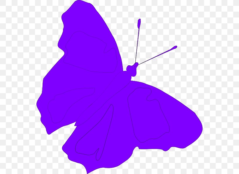Butterfly Light Blue Clip Art, PNG, 570x598px, Butterfly, Bing, Blue, Flower, Flowering Plant Download Free