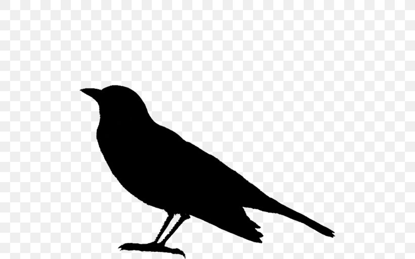 Clip Art American Crow Bird Finches, PNG, 512x512px, American Crow, American Sparrow, Beak, Bird, Black Download Free