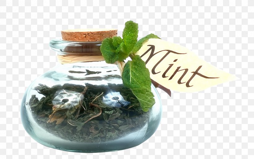 Condiment Herb Spice Mint Seasoning, PNG, 868x544px, Condiment, Bottle, Flowerpot, Food, Glass Download Free