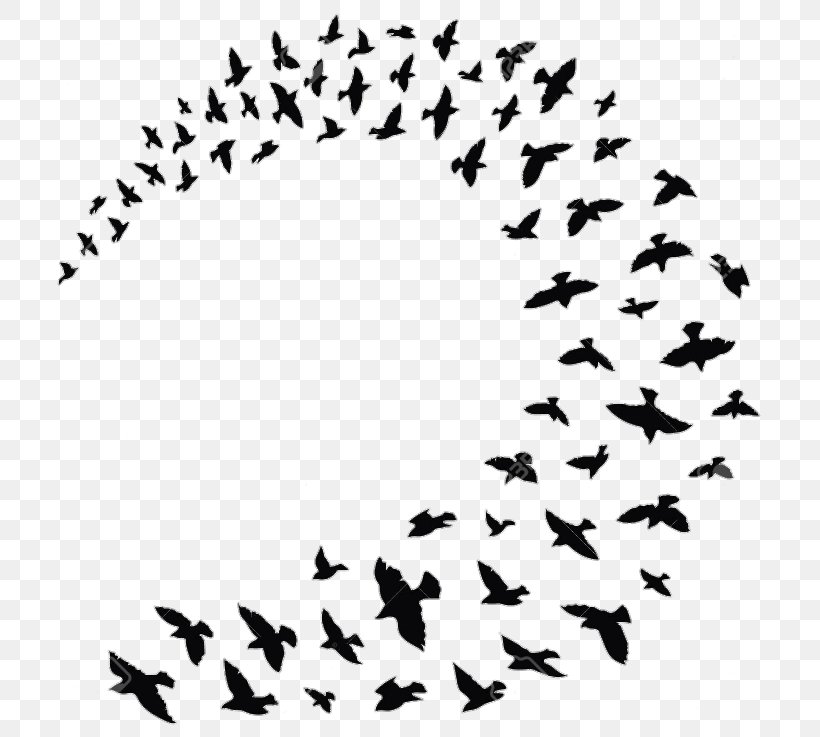 Flock Bird Columbidae Clip Art Silhouette, PNG, 737x737px, Flock, Animal Migration, Area, Beak, Bird Download Free