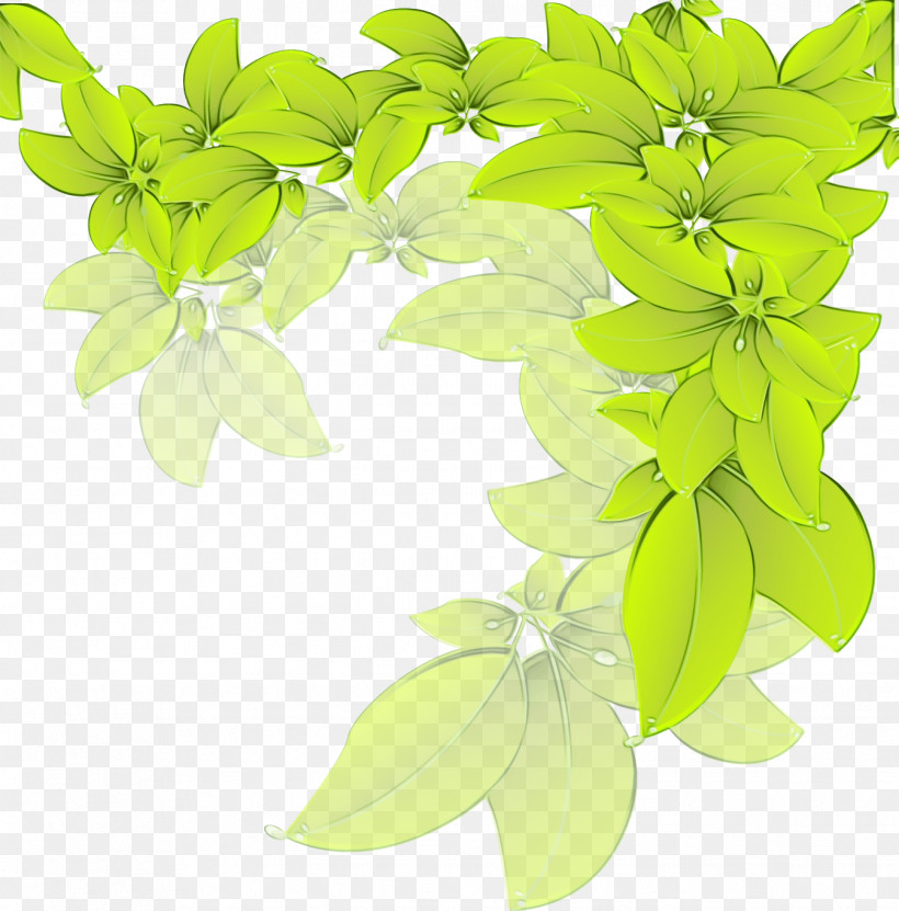 Leaf Herbal Medicine Lemon Basil Herb Green, PNG, 1344x1363px, Watercolor, Basil, Biology, Branching, Green Download Free