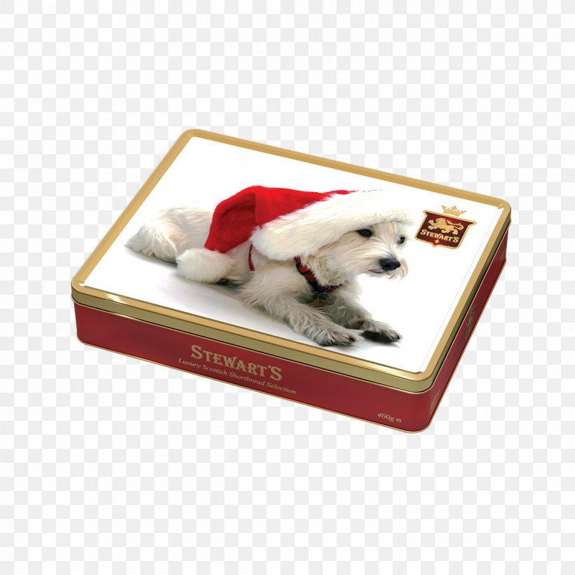 Puppy West Highland White Terrier Christmas And Holiday Season United States, PNG, 1200x1200px, Puppy, Biscuit, Box, Carnivoran, Christmas Download Free