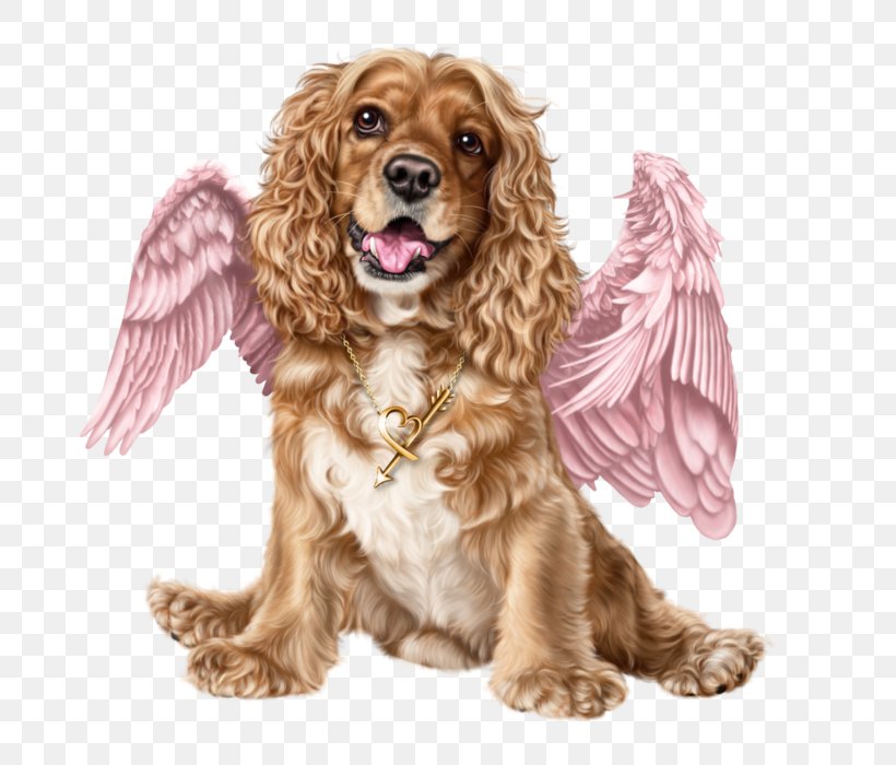 American Cocker Spaniel English Cocker Spaniel Puppy Sussex Spaniel Dog Breed, PNG, 700x700px, American Cocker Spaniel, Animal, Breed, Breed Group Dog, Carnivoran Download Free