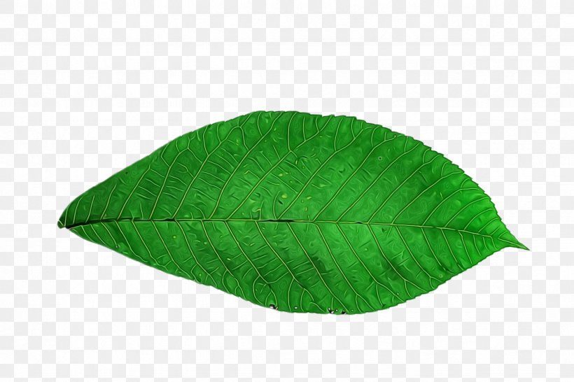 Banana Leaf, PNG, 2448x1632px, Watercolor, Banan, Banana, Banana Leaf, Banco De Imagens Download Free