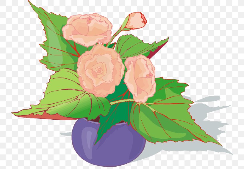 Pink Flower Cartoon, PNG, 750x569px, Garden Roses, Artificial Flower, Begonia, Cabbage Rose, Cut Flowers Download Free
