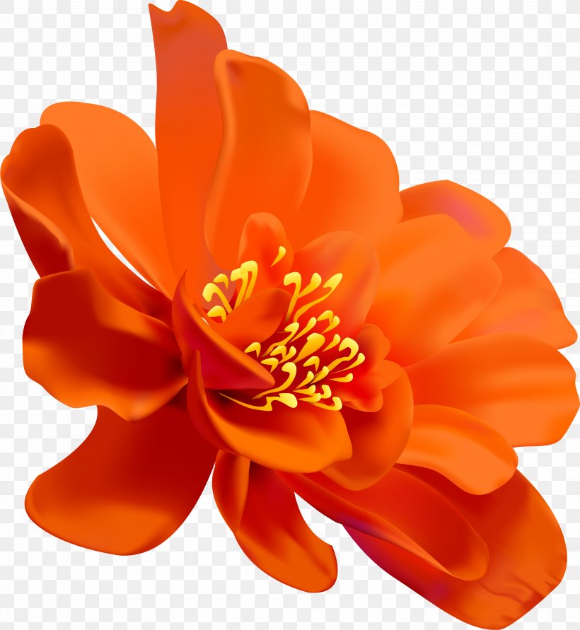 Watercolor Painting Flower Petal Floral Design, PNG, 3714x4040px, Watercolor Painting, Artificial Flower, Cut Flowers, Floral Design, Flower Download Free