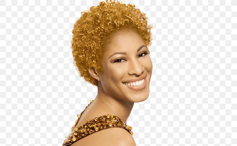 Human Hair Color Blond Hair Coloring Jheri Curl, PNG, 508x507px, Hair, Afro, Afrotextured Hair, Amber, Black Hair Download Free