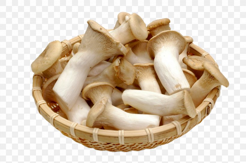 Pleurotus Eryngii Japanese Cuisine Oyster Mushroom Zosui, PNG, 3000x1995px, Pleurotus Eryngii, Cooking, Dietary Fiber, Edible Mushroom, Food Download Free
