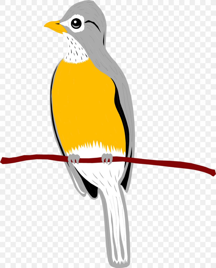 Bird Wing Penguin Clip Art, PNG, 958x1191px, Bird, Animal, Beak, Fauna, Feather Download Free