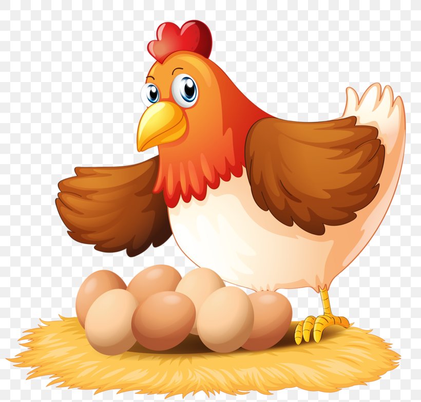 Chicken Egg Hen Clip Art, PNG, 800x784px, Chicken, Beak, Bird, Cartoon,  Drawing Download Free