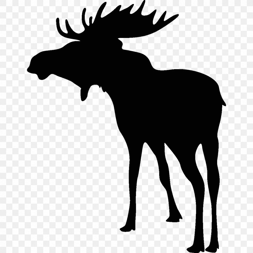 Deer Hunting Moose Bowhunting, PNG, 1200x1200px, Deer, Antler, Black And White, Bowhunting, Decal Download Free