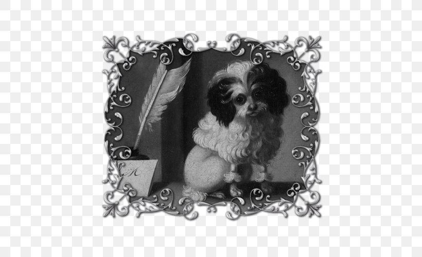 Dog Breed Poodle Puppy Maltese Dog Shih Tzu, PNG, 500x500px, Dog Breed, Bichon, Bichon Frise, Black And White, Bolognese Dog Download Free