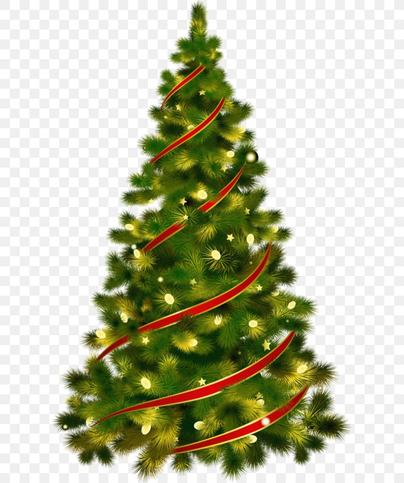 Christmas Tree Christmas Ornament Clip Art, PNG, 609x980px, Christmas Tree, Christmas, Christmas Decoration, Christmas Ornament, Conifer Download Free