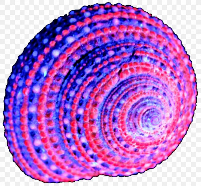 Circle Spiral Purple Violet Point, PNG, 930x860px, Spiral, Point, Purple, Sphere, Thread Download Free