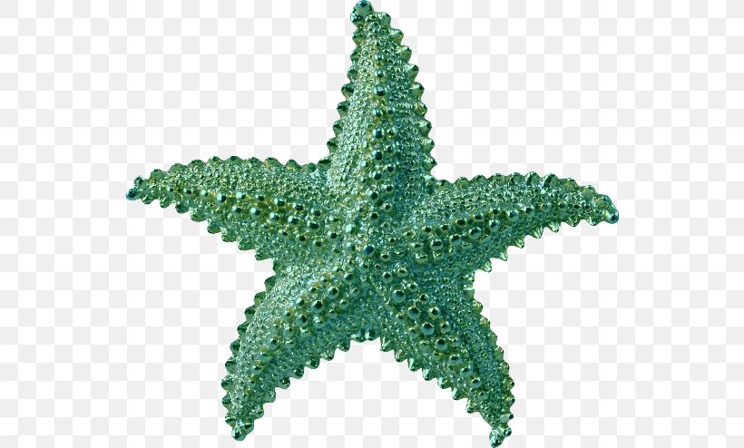 Starfish Lossless Compression Clip Art, PNG, 544x494px, Starfish, Benthos, Data, Data Compression, Echinoderm Download Free