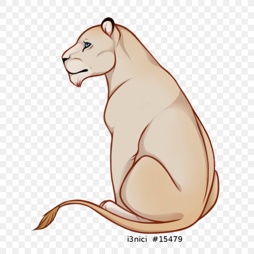 Whiskers Cat Snout Canidae Rodent, PNG, 894x894px, Whiskers, Big Cat, Big Cats, Canidae, Carnivoran Download Free