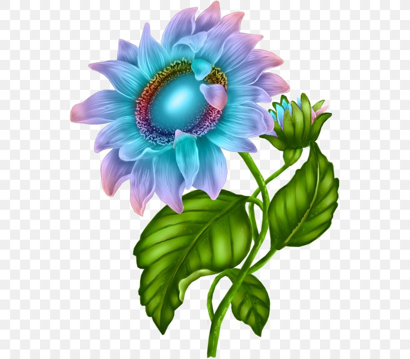 Flower Desktop Wallpaper Clip Art, PNG, 541x719px, Flower, Anemone, Art, Aster, Common Sunflower Download Free