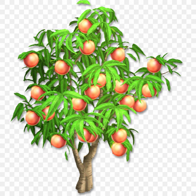 Hay Day Peach Fruit Tree Harvest, PNG, 1051x1051px, Hay Day, Annual Growth Cycle Of Grapevines, Apple, Berry, Branch Download Free
