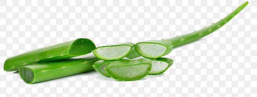 Aloe Vera Plant Oil Gel Skin, PNG, 982x373px, Aloe Vera, Aloe, Burn, Detoxification, Essential Amino Acid Download Free