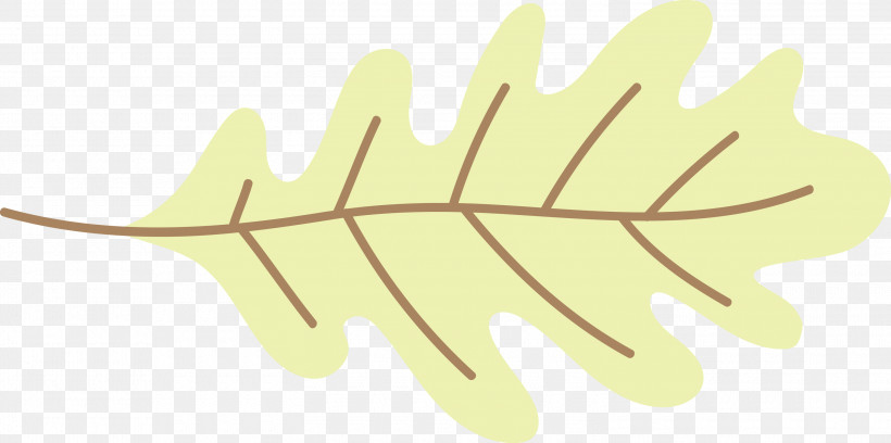 Leaf Yellow M-tree Line Meter, PNG, 3000x1494px, Leaf, Biology, Line, Meter, Mtree Download Free