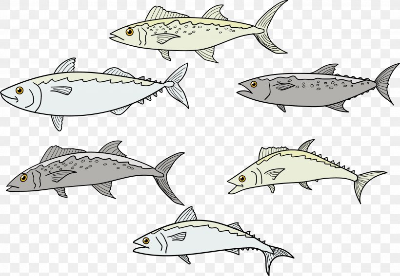 Sardine Fish Euclidean Vector Drawing, PNG, 2626x1817px, Sardine, Animal Figure, Artwork, Drawing, Fauna Download Free