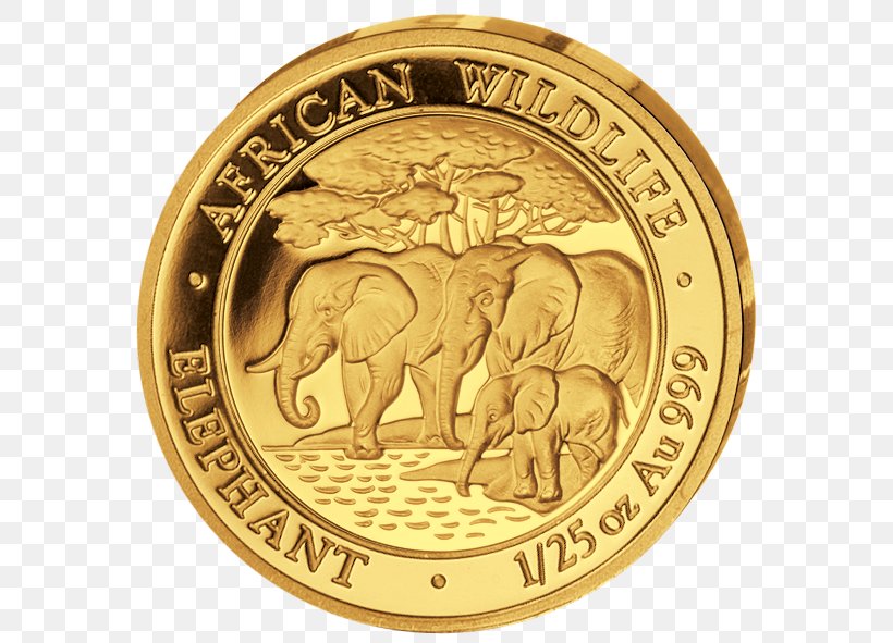 Somalia Bullion Coin Gold Silver Coin African Elephant, PNG, 586x591px, Somalia, African Elephant, Australian Gold Nugget, Australian Silver Kangaroo, Brass Download Free