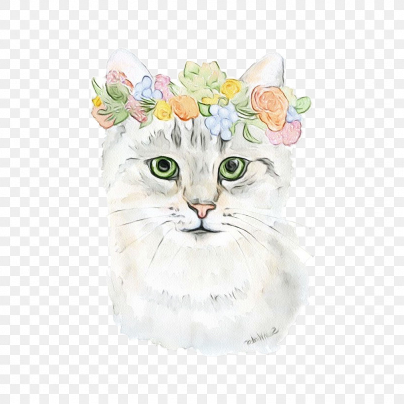 Cat White Small To Medium-sized Cats Whiskers Watercolor Paint, PNG, 1024x1024px, Watercolor, American Curl, Cat, Kitten, Paint Download Free