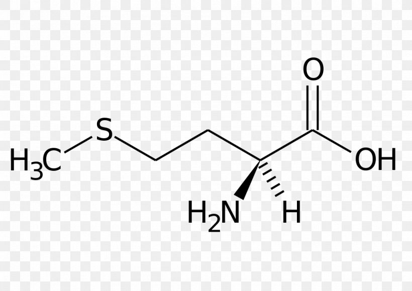 Methionine Essential Amino Acid Dietary Supplement Phenylalanine, PNG, 1024x724px, Methionine, Amino Acid, Area, Black, Black And White Download Free