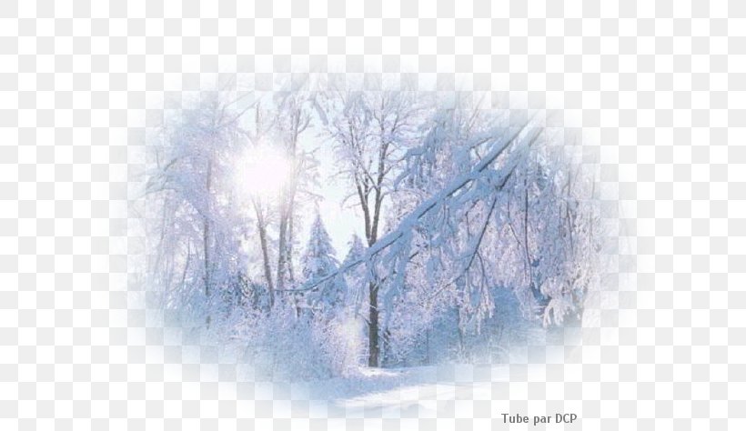 Snow Desktop Wallpaper Winter, PNG, 689x474px, Snow, Atmosphere, Blizzard, Blue, Branch Download Free