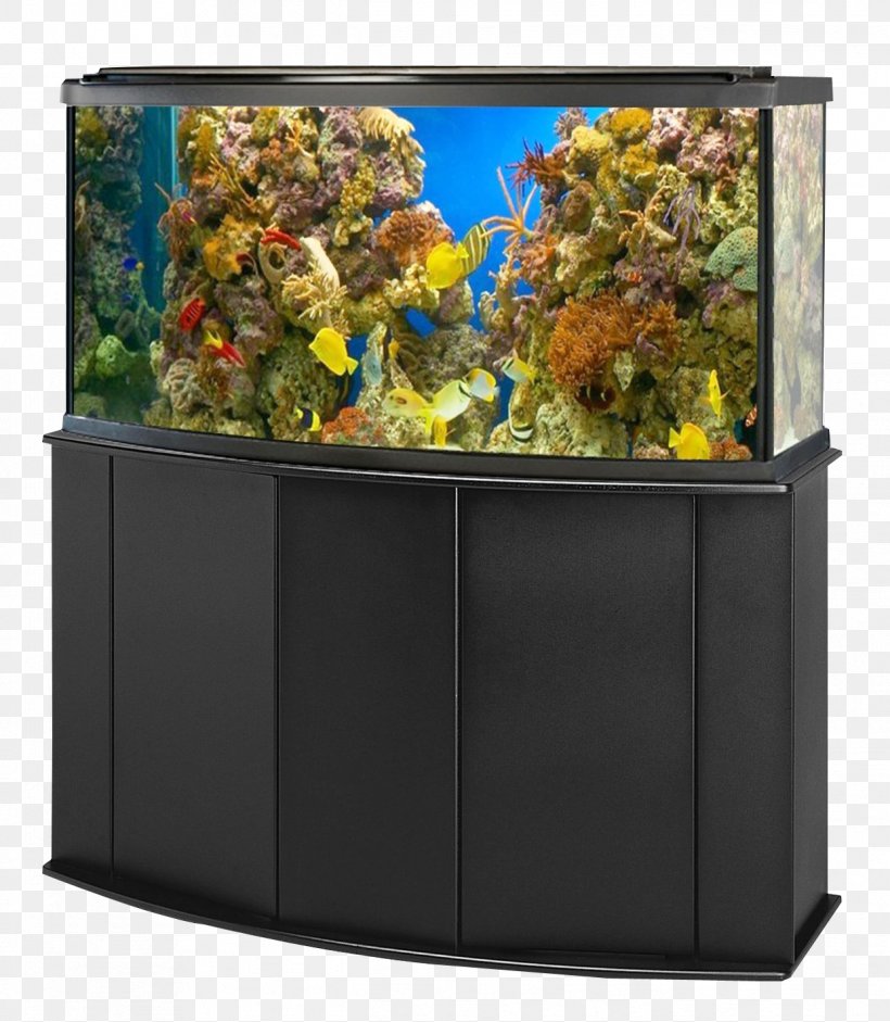 Aquarium Goldfish Ornamental Fish, PNG, 1242x1426px, Aquarium, Aquarium Fish Feed, Diversity Of Fish, Fish, Fish Medicine Download Free
