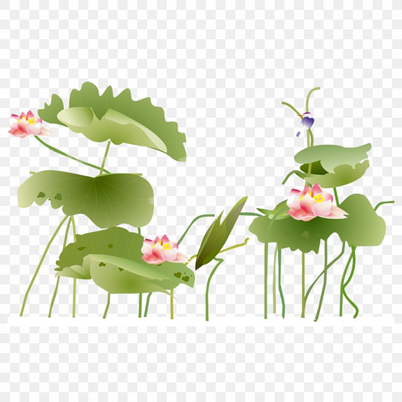 Xuchang Nelumbo Nucifera Icon, PNG, 1000x1000px, Xuchang, Branch, Flora, Floral Design, Floristry Download Free