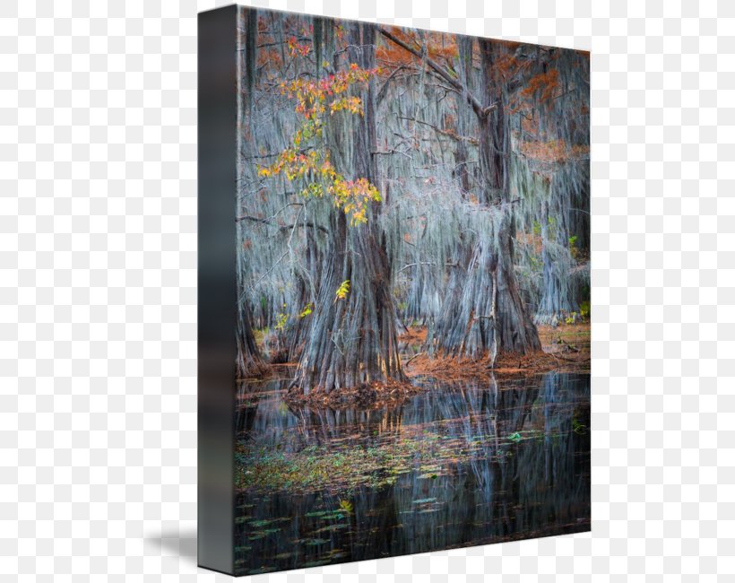 Bayou Painting, PNG, 513x650px, Bayou, Modern Art, Painting, Reflection, Tree Download Free