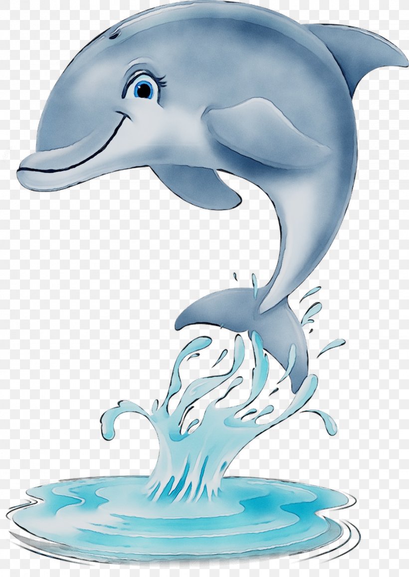 Common Bottlenose Dolphin Short-beaked Common Dolphin Tucuxi Wholphin Rough-toothed Dolphin, PNG, 1125x1586px, Common Bottlenose Dolphin, Beak, Biology, Bottlenose Dolphin, Cartoon Download Free